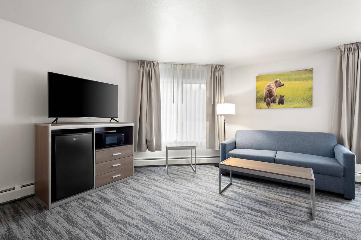 A modern hotel room with a flat-screen TV, a compact refrigerator, a wooden cabinet, a blue sofa, a small table, and a painting of a bear family on the wall.