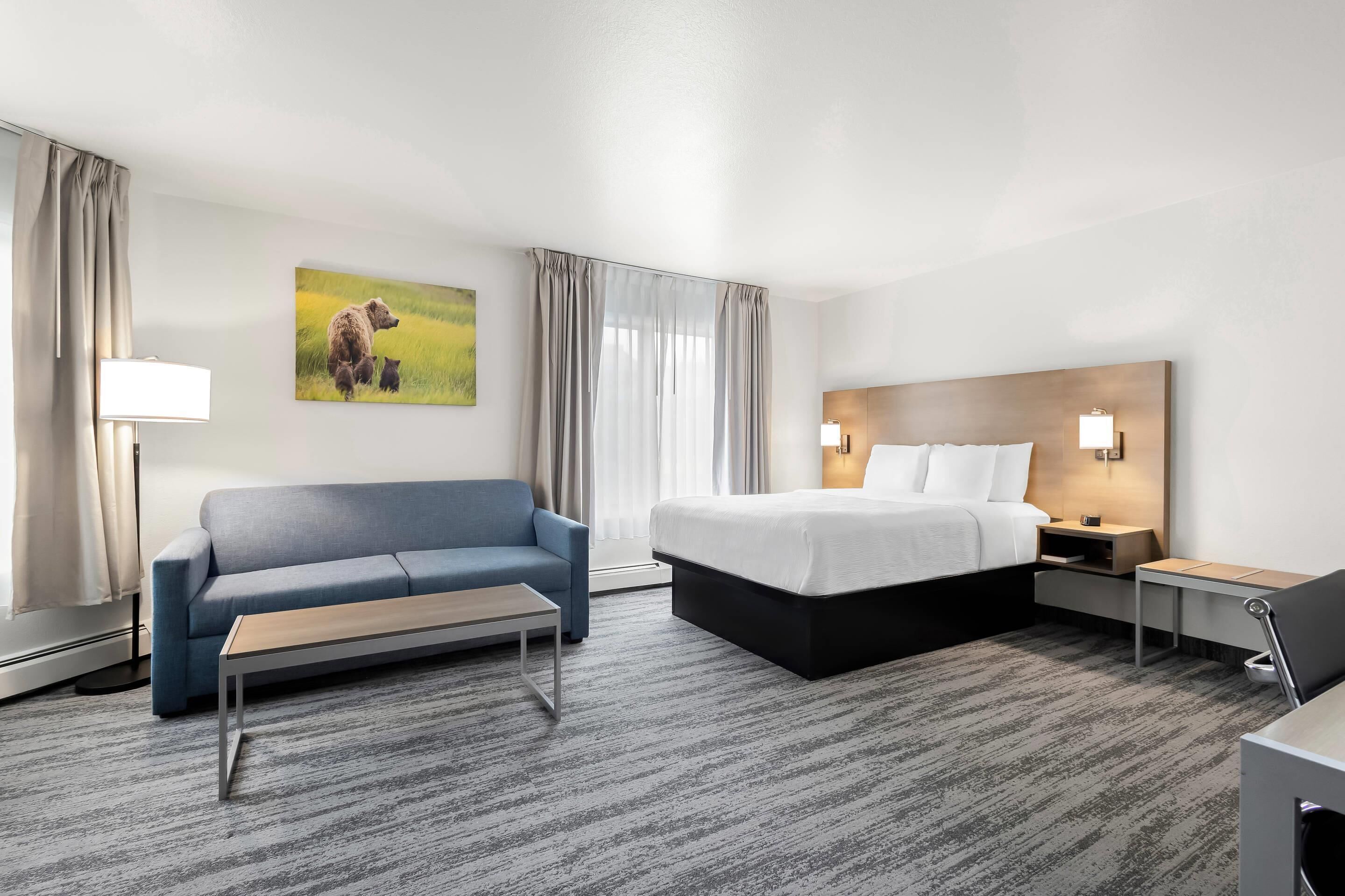 A hotel room with a bed, a sofa, a desk, and a lamp.