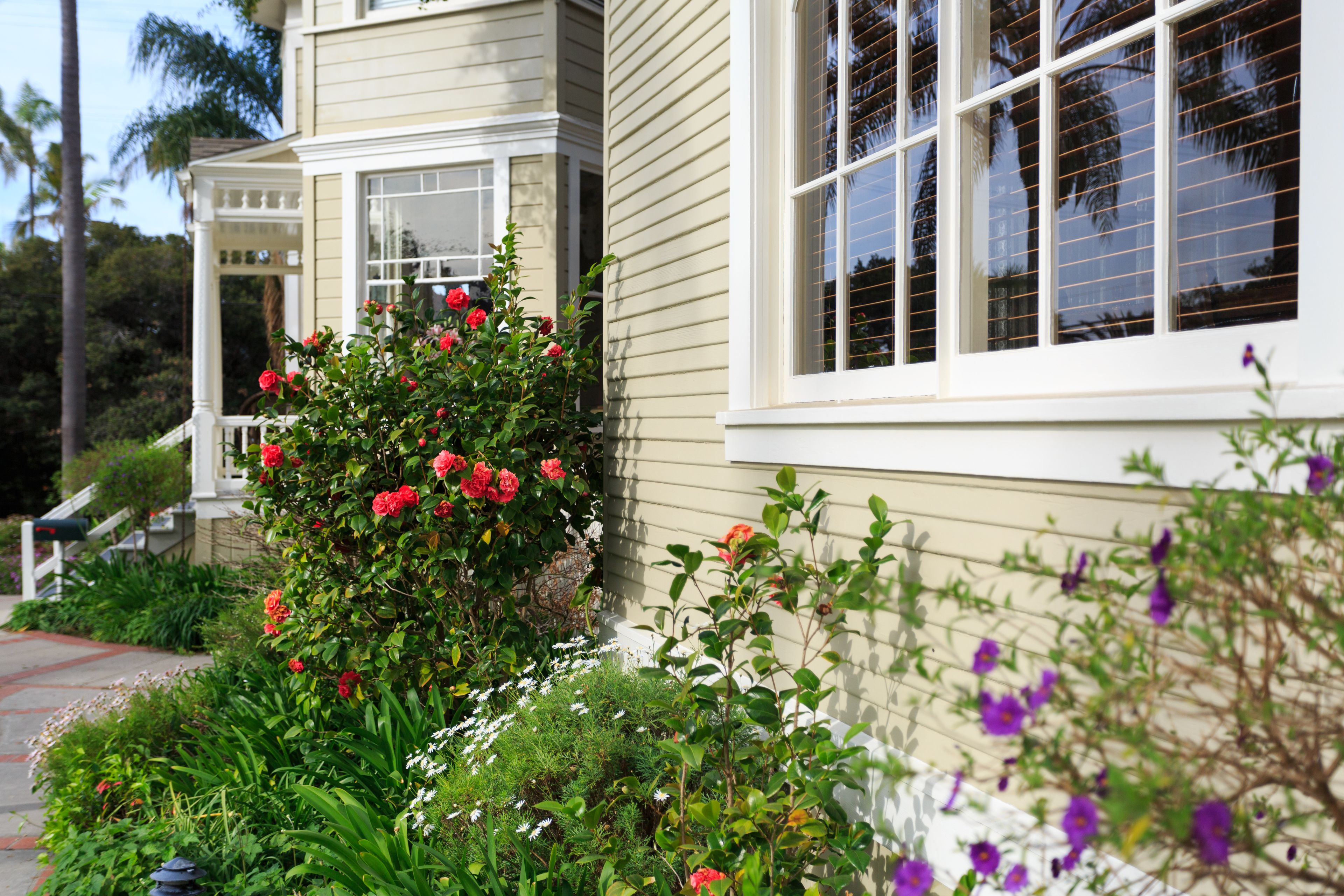 إطلالة الغرفة