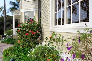 Pemandangan dari kamar