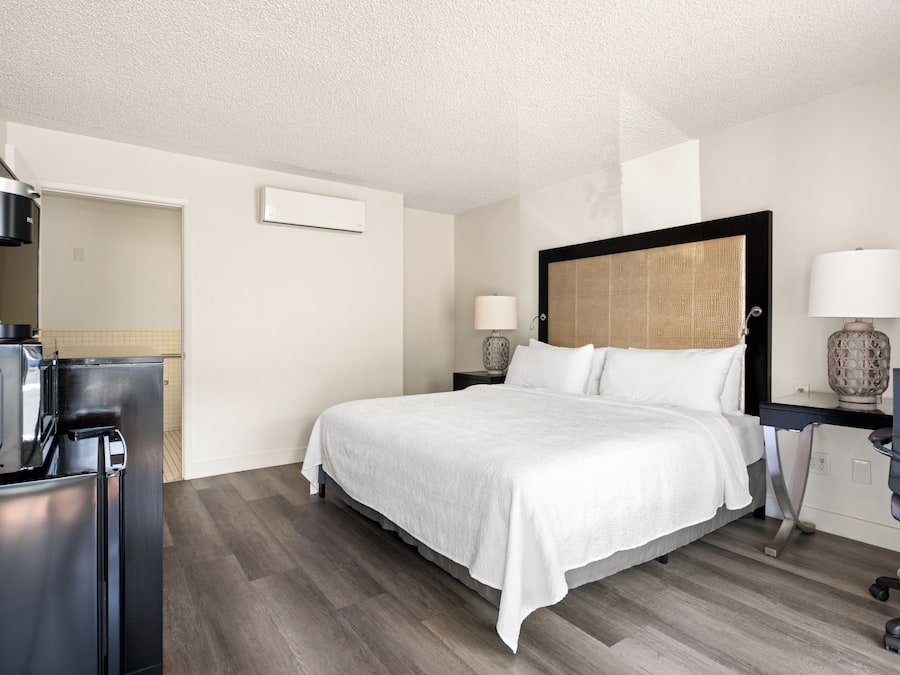 Single Room, 1 King Bed, Roll-In Shower