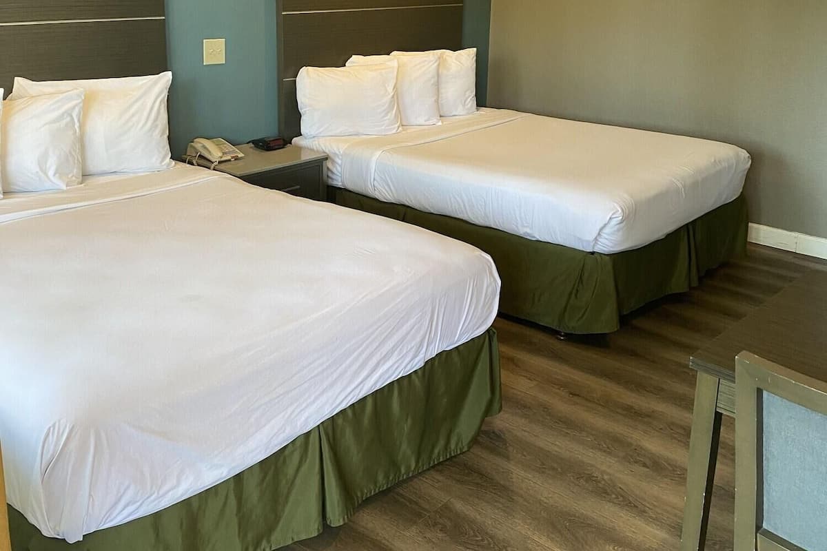 Une chambre d’hôtel avec deux lits, chacun doté de draps blancs et d’une couvre-lit verte. La chambre a un plancher en bois et des murs bleu clair.