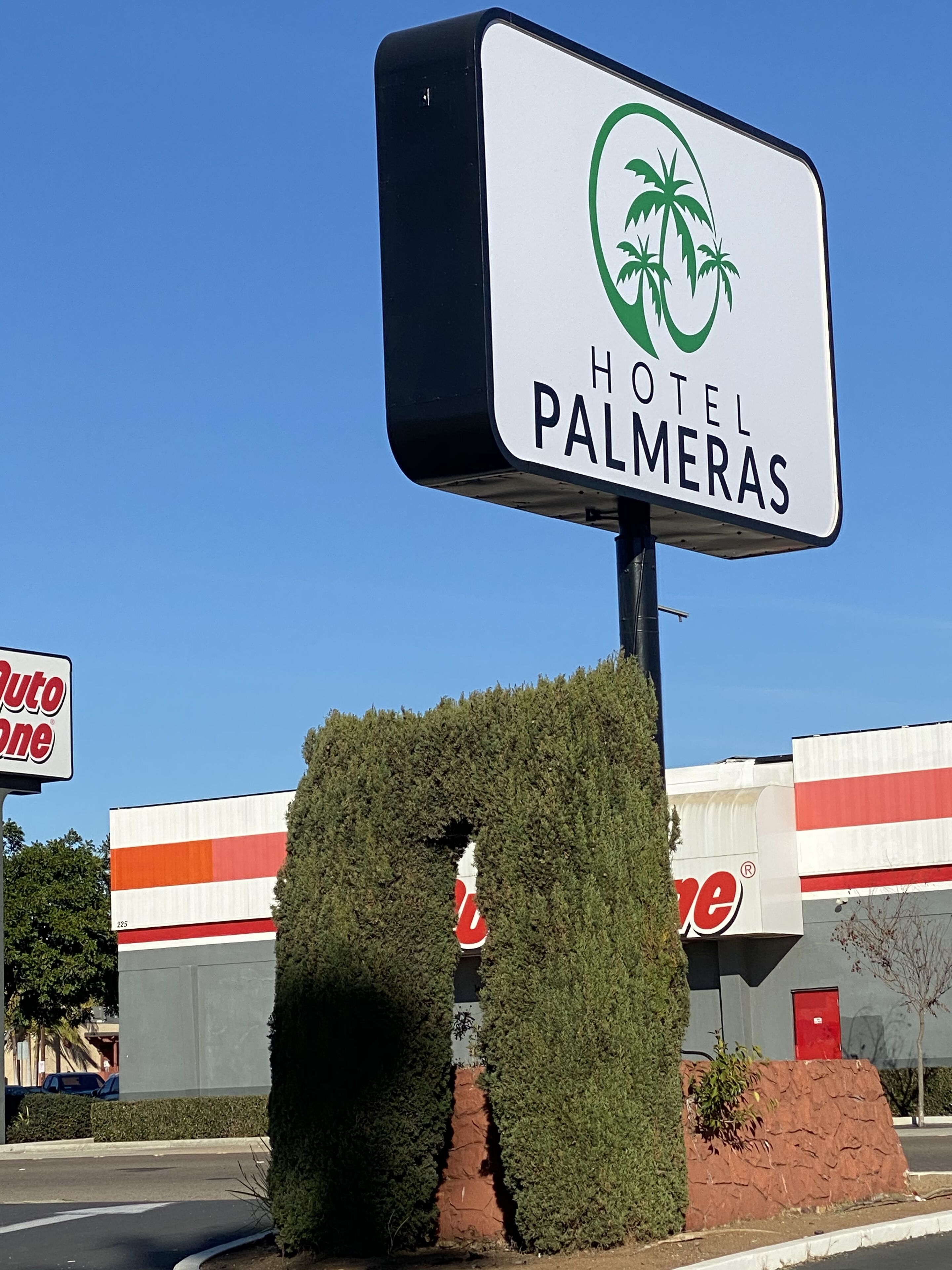 Foto - Hotel Palmeras Chula Vista