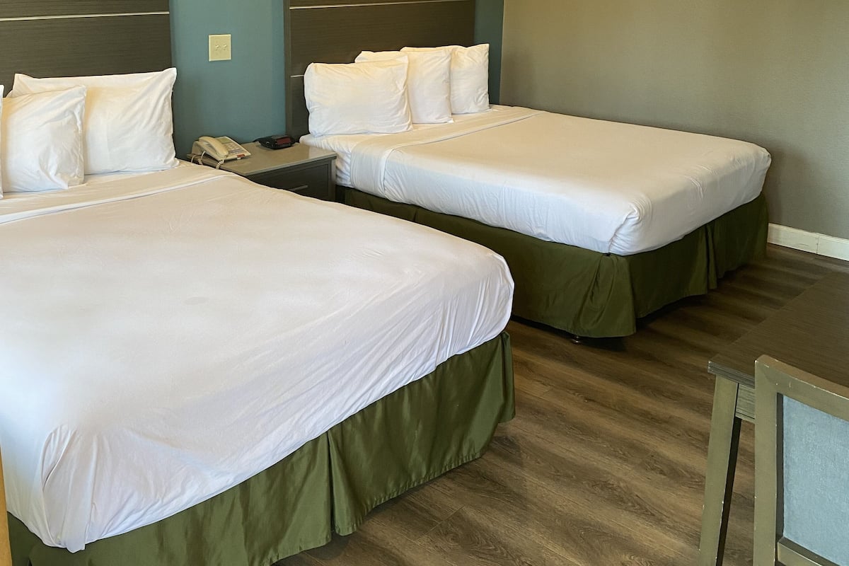 Une chambre d’hôtel avec deux lits, des couvre-lits verts, un plancher en bois et un mur bleu clair.