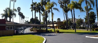 Hotel Palmeras Chula Vista