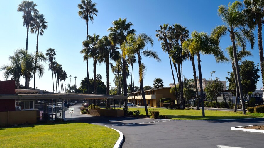 Hotel Palmeras Chula Vista