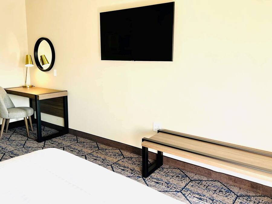 Habitación de hotel con cama, escritorio y silla, banca, televisor montado en la pared y alfombra estampada.