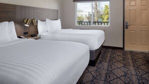 Une chambre d’hôtel avec deux lits, une fenêtre donnant sur un paysage agréable, une porte et un tapis à motifs.