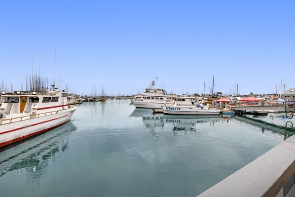Marina