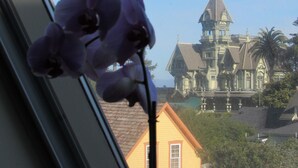 A window with a purple orchid, a Victorian-style building, and a yellow house in the background. - Carter House Inns (Eureka)