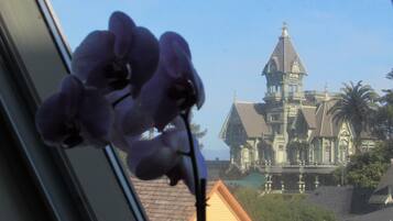 Blick von der Unterkunft