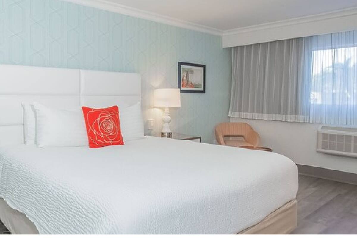 A hotel room with a large bed, a nightstand, a chair, and a window with curtains.