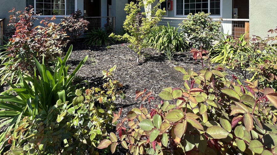 Days Inn by Wyndham Chico