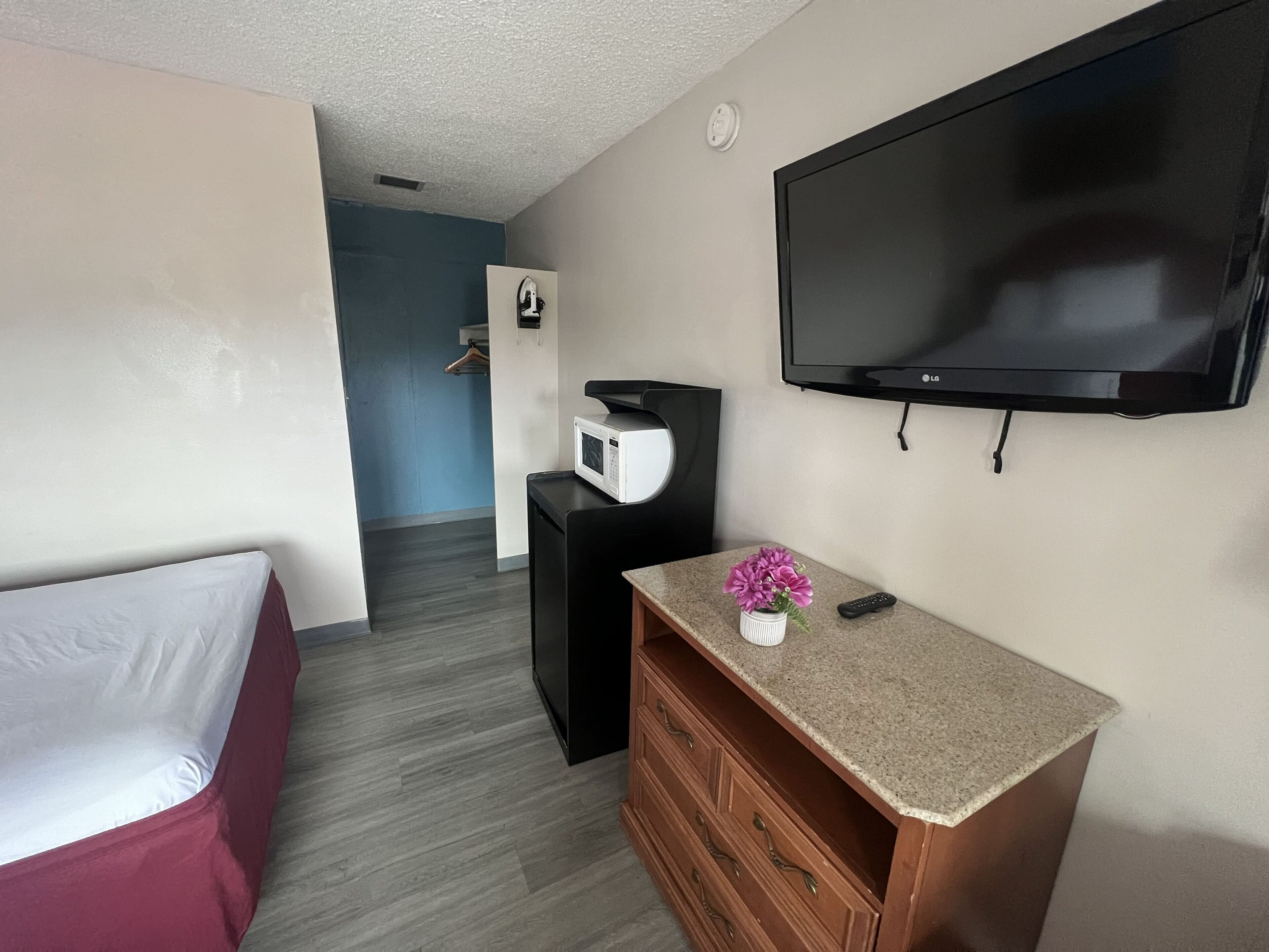 A hotel room with a bed, a TV, a microwave, a dresser, and a small plant.