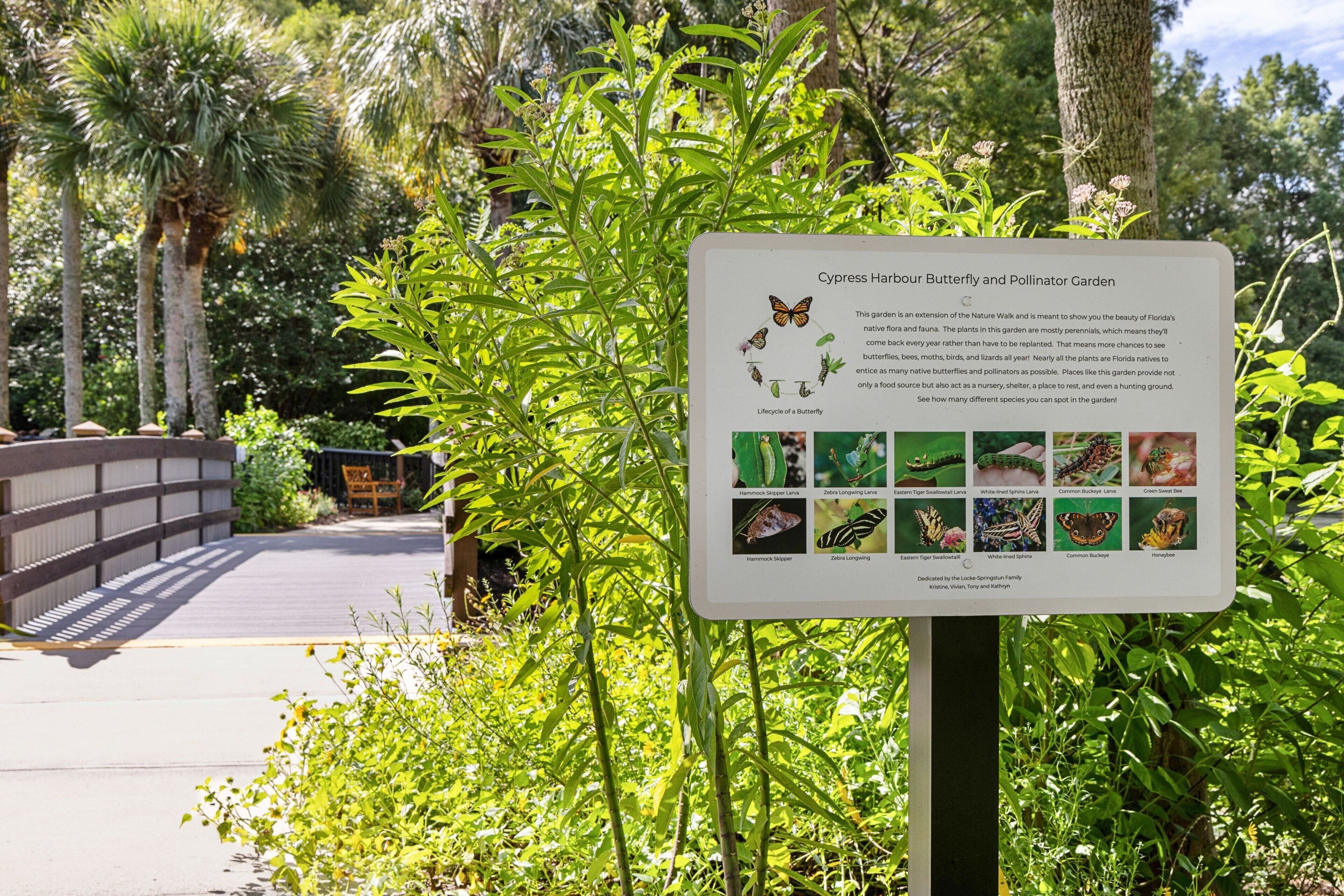 A garden sign with information about Cypress Harbour Butterfly and Pollinator Garden, featuring various plants and butterflies.