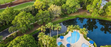 Outdoor pool, a heated pool, pool umbrellas, pool loungers