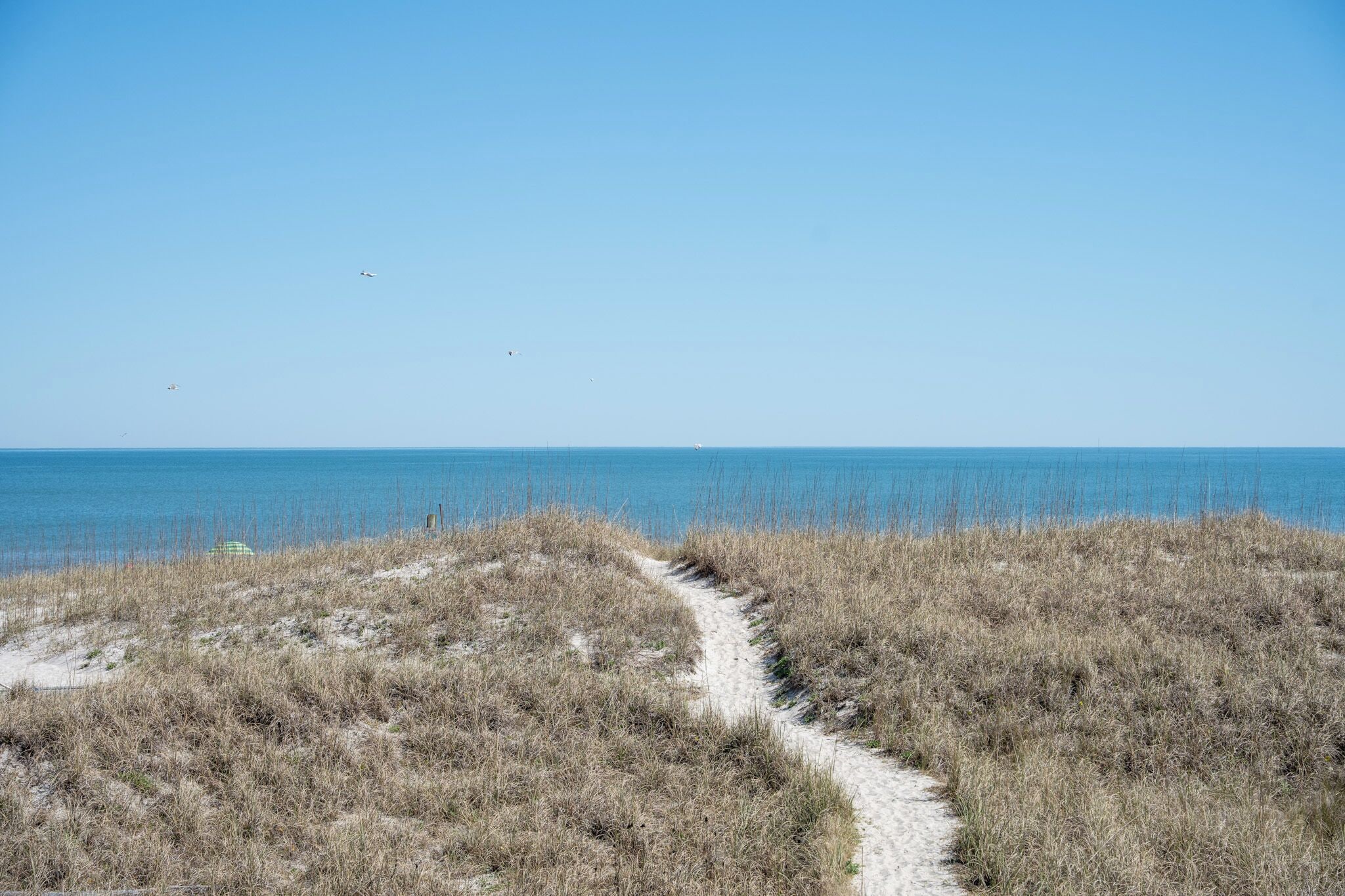 Beach