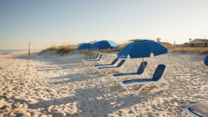 Een strand met rijen blauwe strandstoelen en parasols.