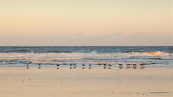 Am Strand, weißer Sandstrand, Liegestühle, Sonnenschirme