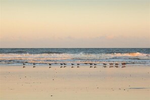 In Strandnähe, weißer Sandstrand, Liegestühle, Sonnenschirme