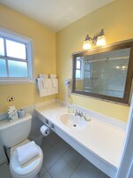 A bathroom with a toilet, sink, and mirror.