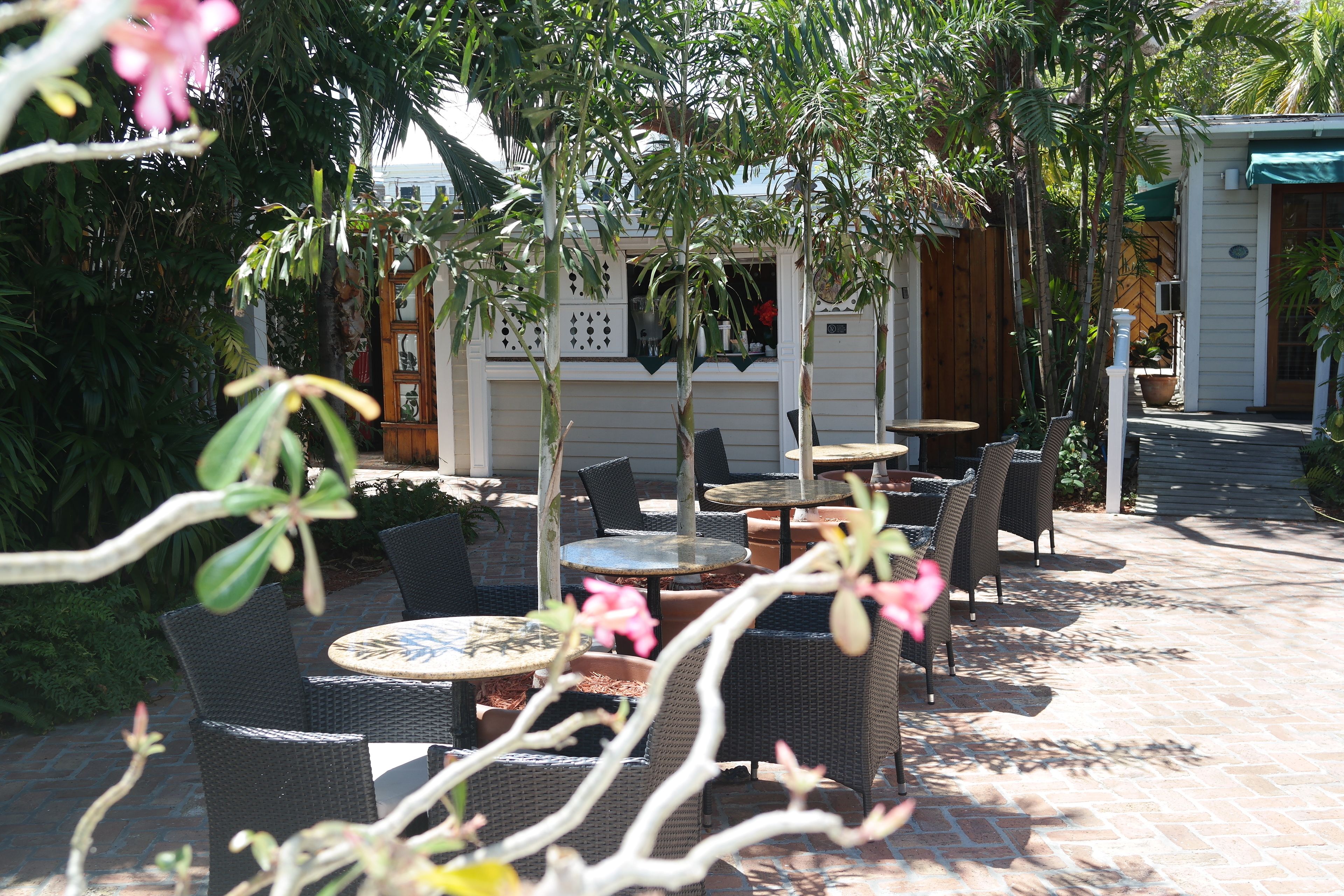 Un área de patio al aire libre con muebles de mimbre y plantas en macetas.