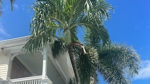 A two-story house with a balcony, surrounded by palm trees and a clear blue sky.