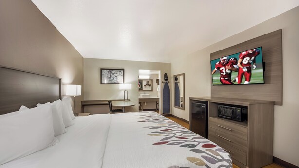 A hotel room with a bed, a desk, a TV, a microwave, and a wardrobe.