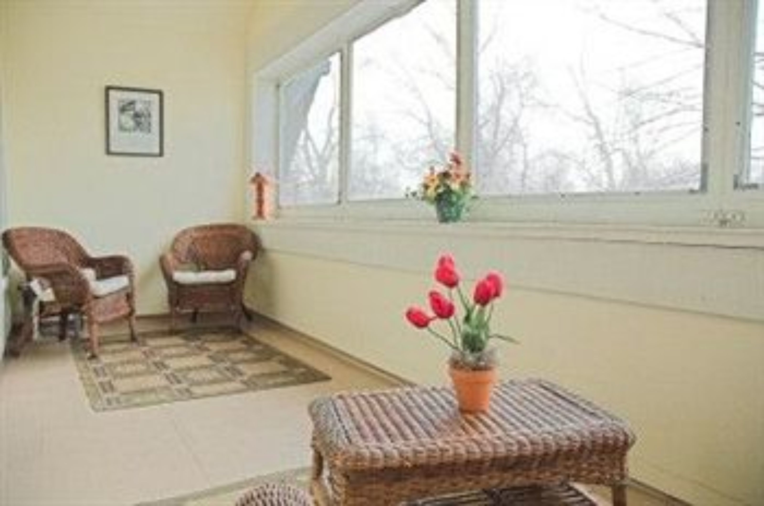 A room with two wicker chairs, a small table with a potted plant, and a large window with a view of trees.