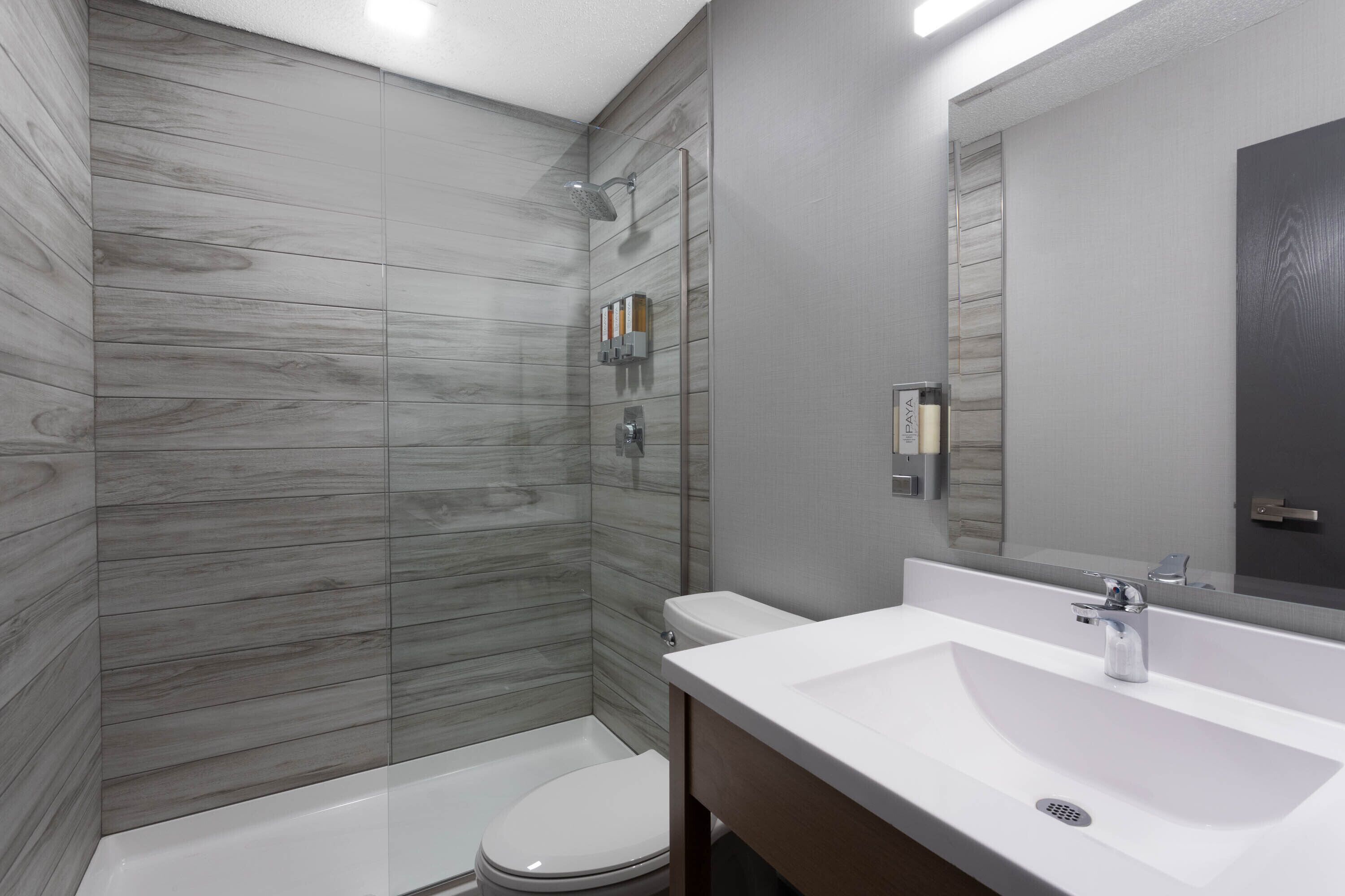 hair dryer, towels, soap, shampoo