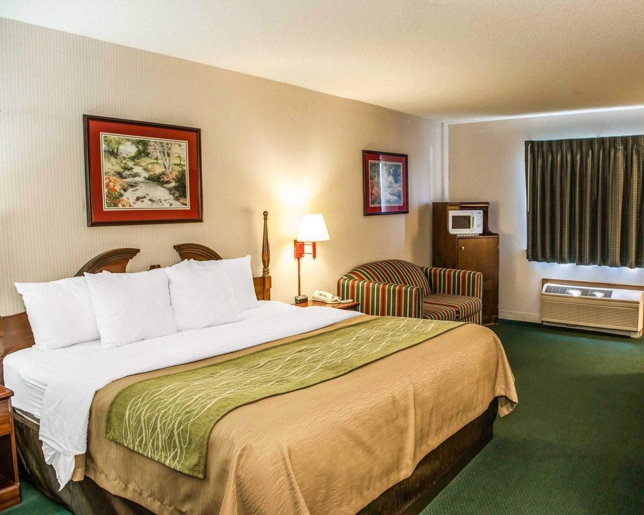 A hotel room with a large bed, a chair, a desk, a lamp, a television, and two framed pictures on the wall.