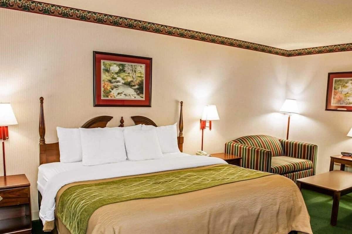 Iron/ironing board, WiFi (free), bed sheets