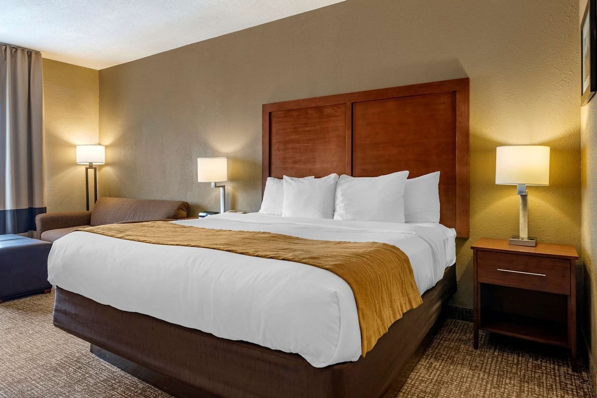A hotel room with a large bed, two bedside tables with lamps, a sofa, and a carpeted floor.