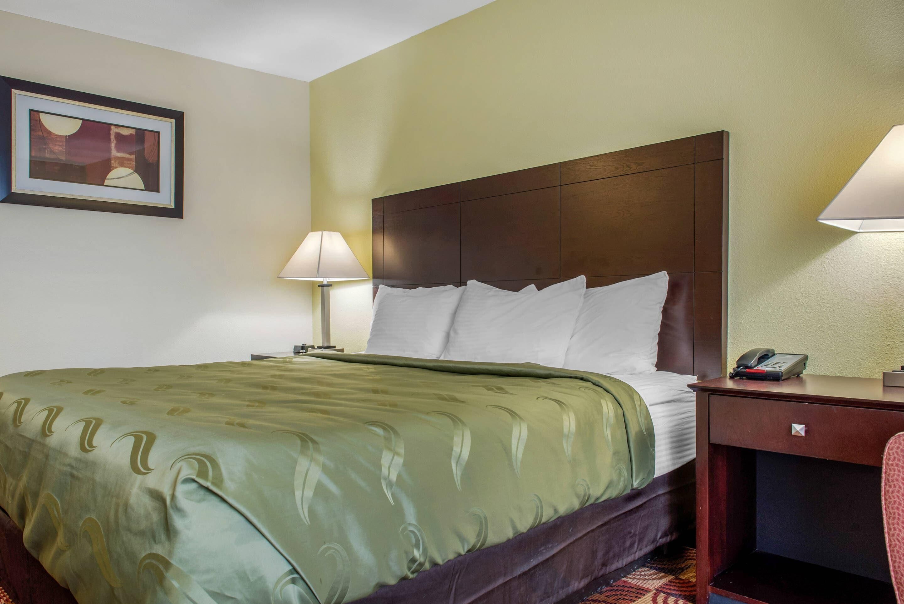 A hotel room with a bed, a nightstand, a lamp, a telephone, and a framed picture on the wall.