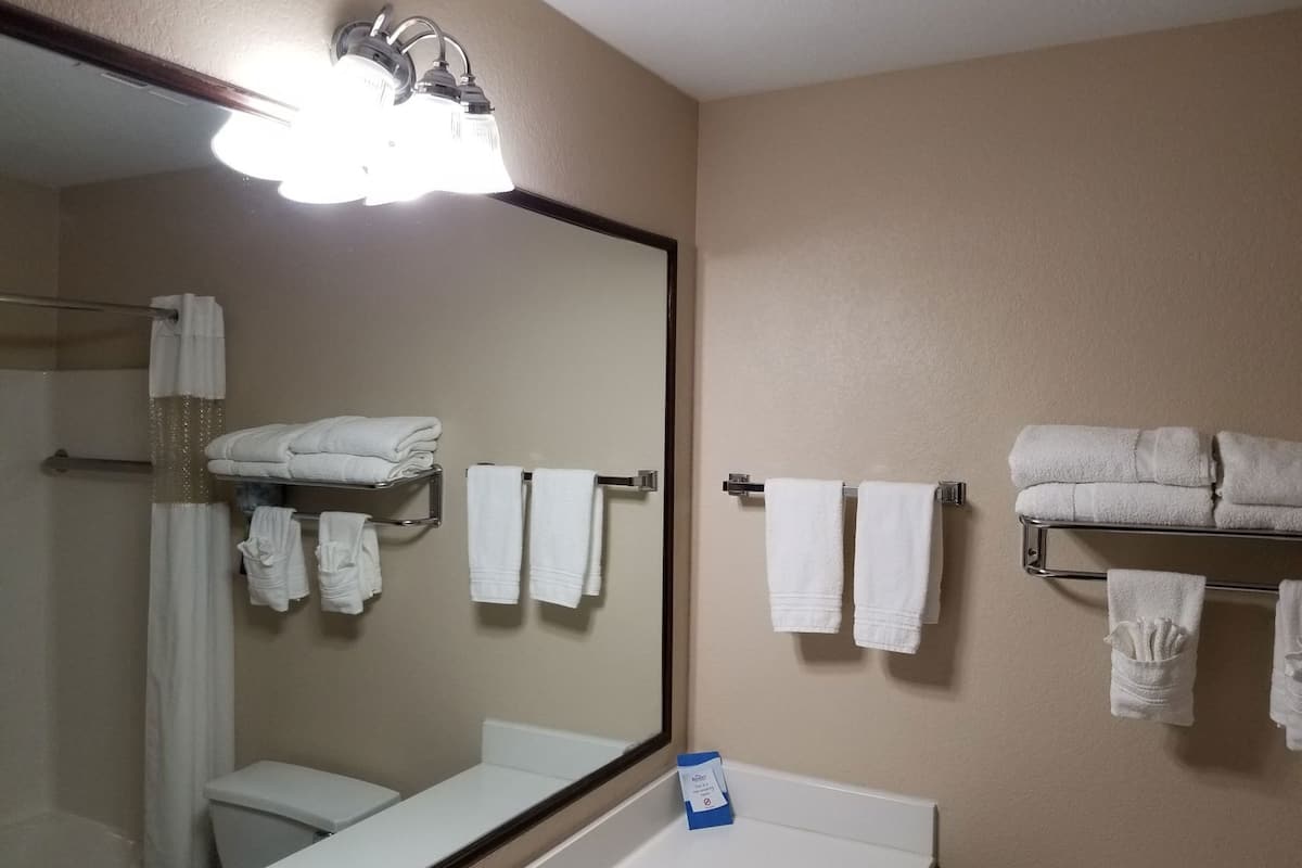 Un baño con un espejo grande, ducha, inodoro y lavabo.