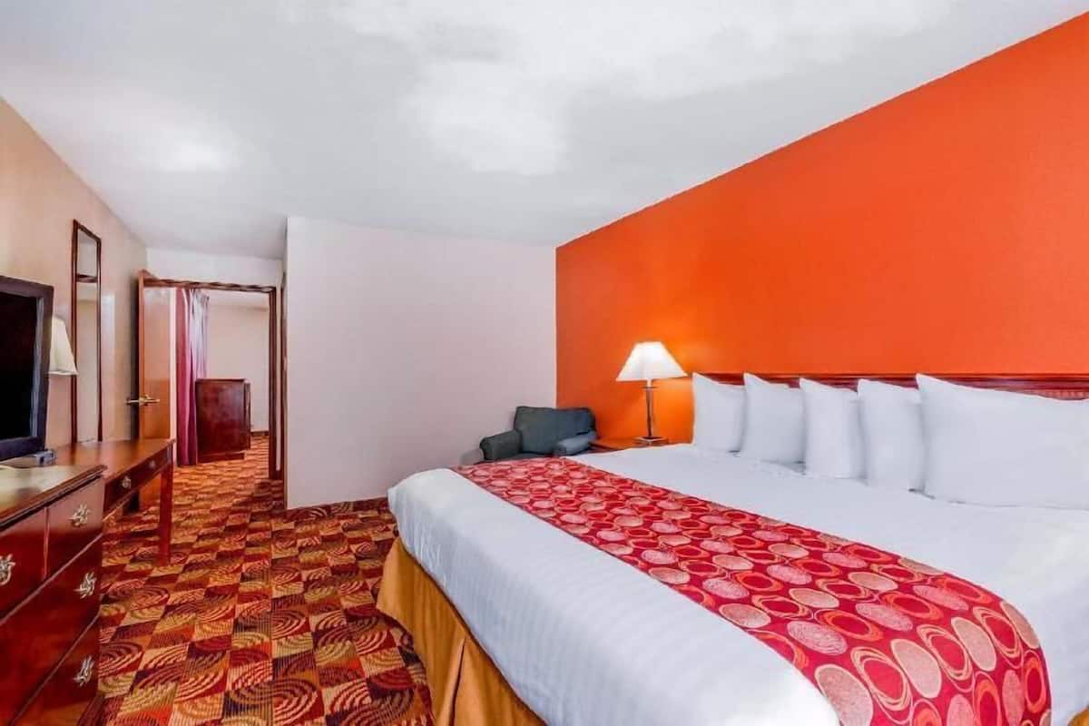 Hypo-allergenic bedding, individually decorated, individually furnished