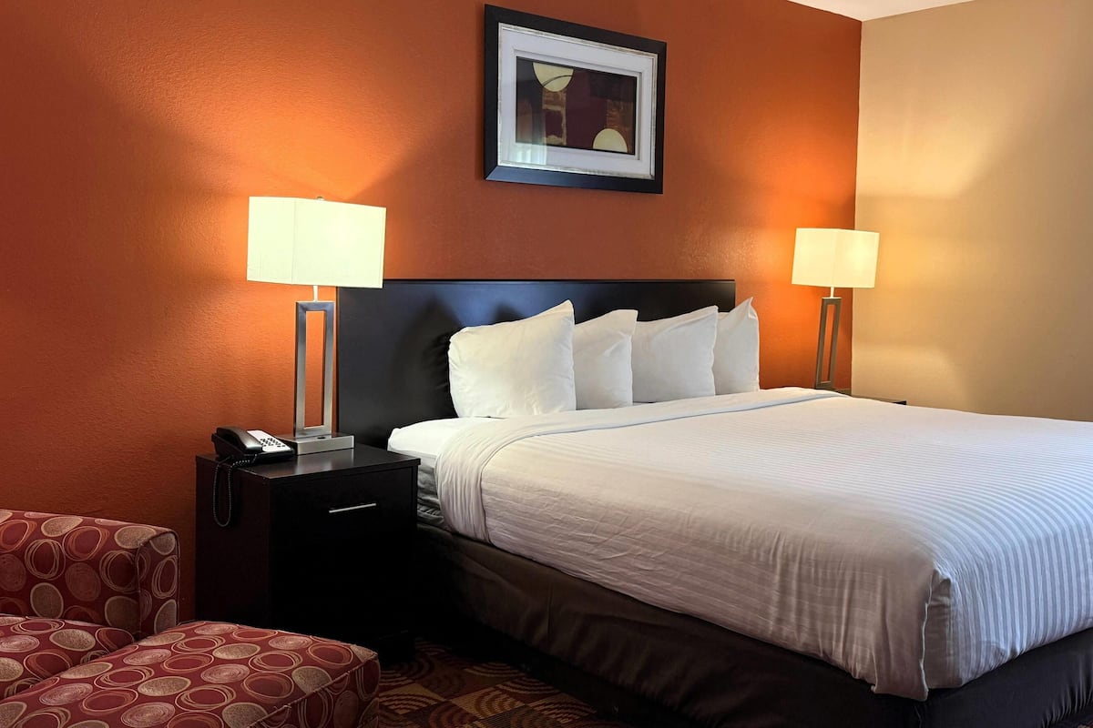 Una habitación de hotel con una cama, dos lámparas de noche, una mesita de noche con un teléfono y un sillón estampado.