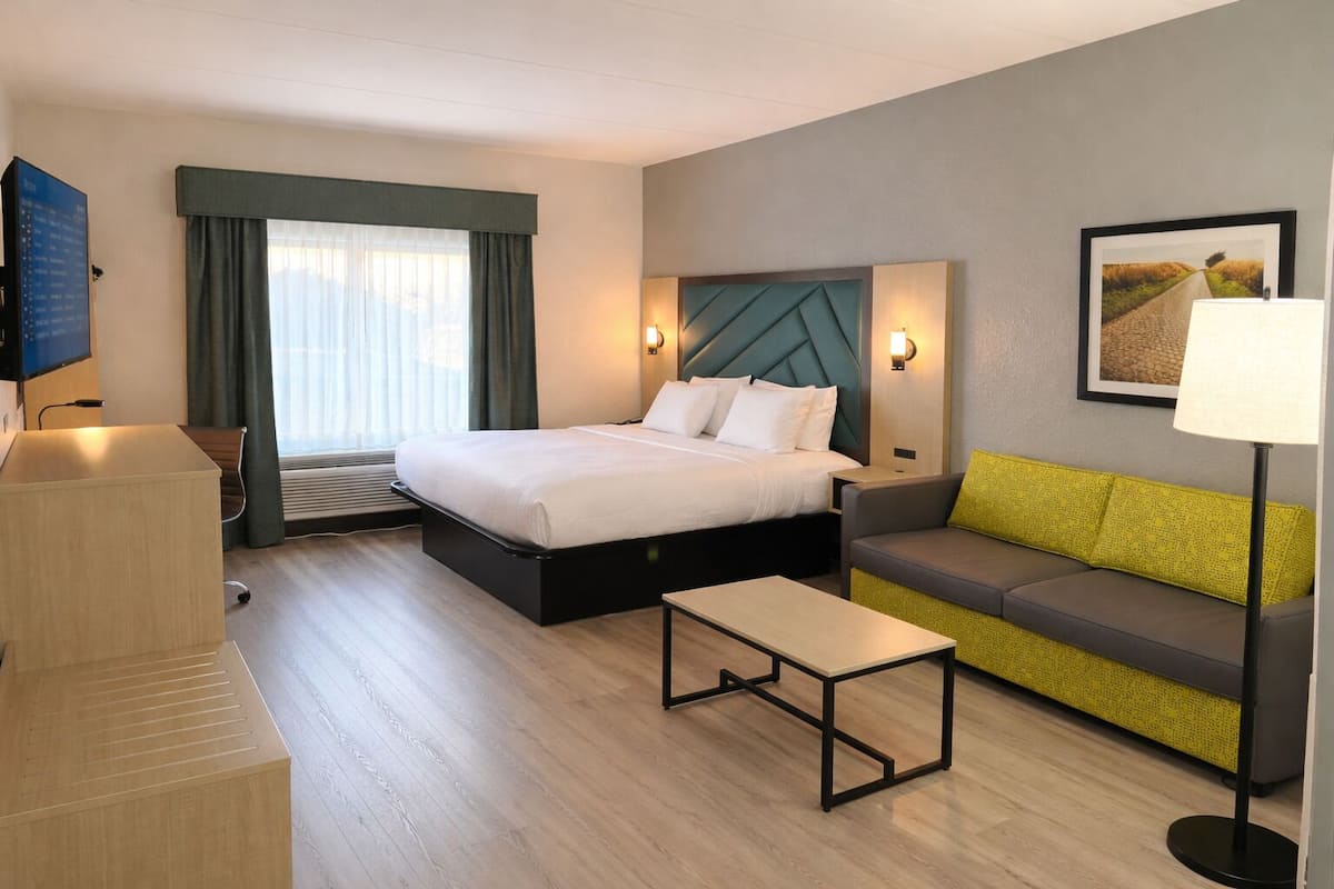 Standard Room, 1 King Bed, Non Smoking, Refrigerator & Microwave | Pillowtop beds, desk, laptop workspace, blackout drapes