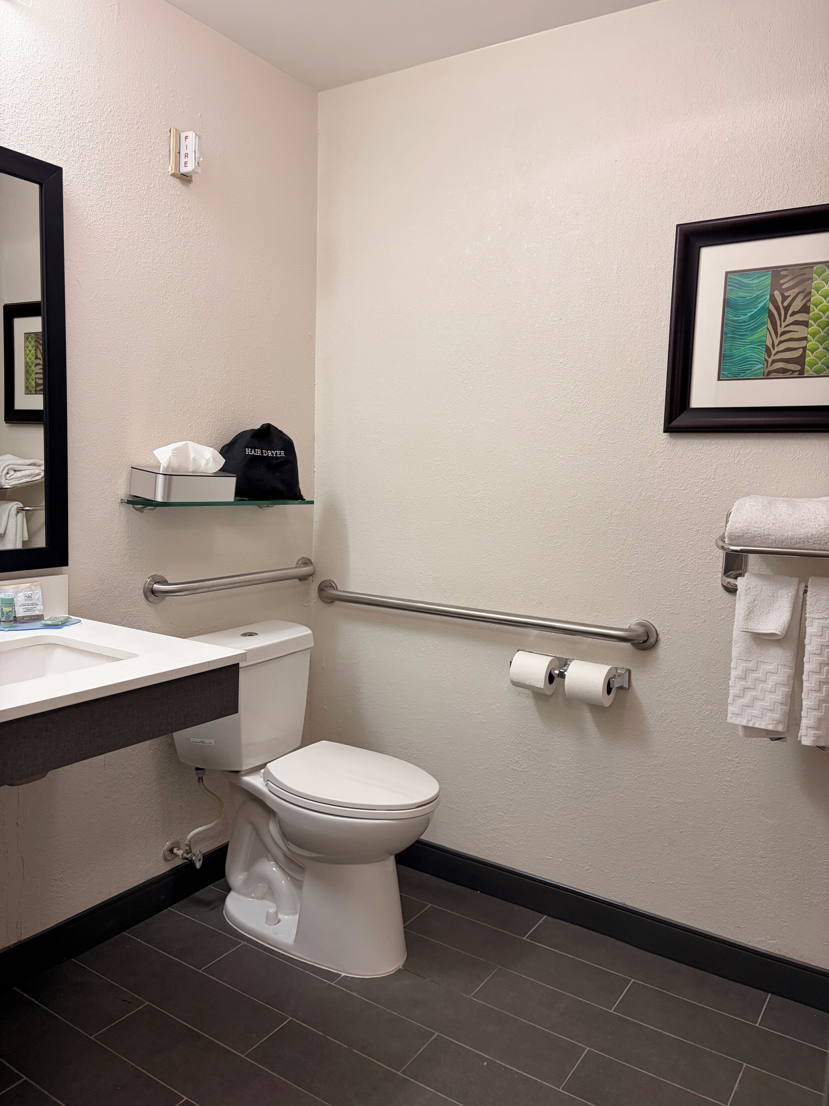 A bathroom with a toilet, sink, handrail, and a framed picture on the wall.
