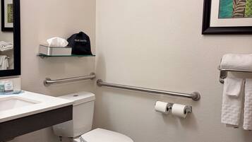 A bathroom with a toilet, sink, handrail, and a framed picture on the wall.