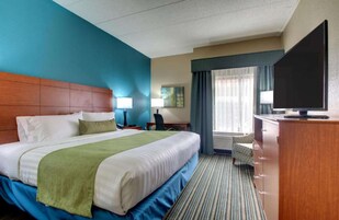 Colchones con pillow-top, escritorio y espacio para trabajar con laptop 