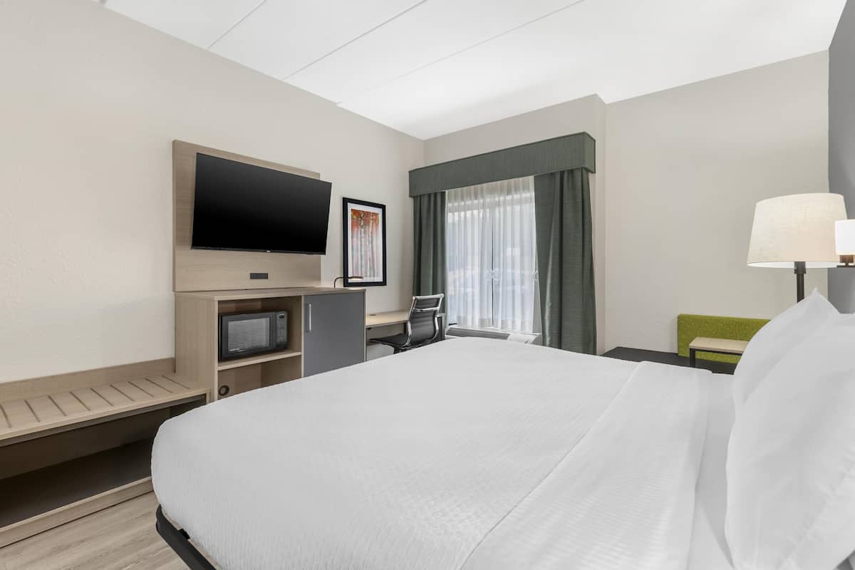 Standard Room, 1 King Bed, Accessible, Non Smoking | Pillowtop beds, desk, laptop workspace, blackout drapes