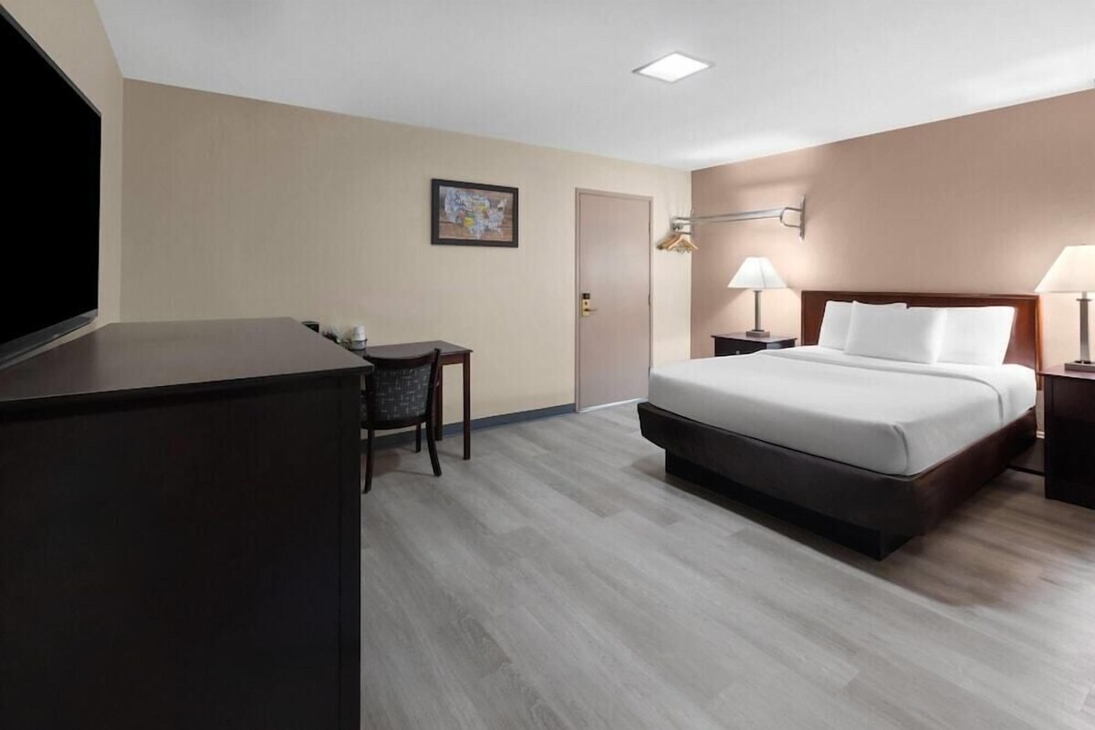 Camera d'albergo con un letto, una scrivania, una sedia, una TV e due lampade da comodino.