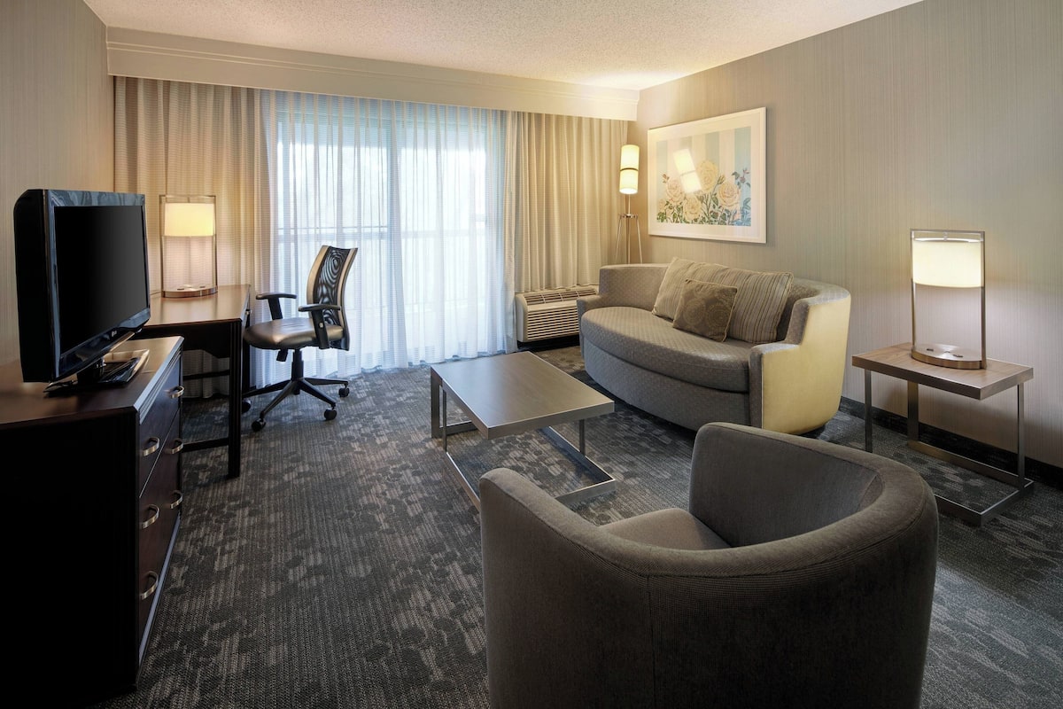 Suite, 1 King Bed with Sofa bed, Non Smoking | Living area | Flat-screen TV
