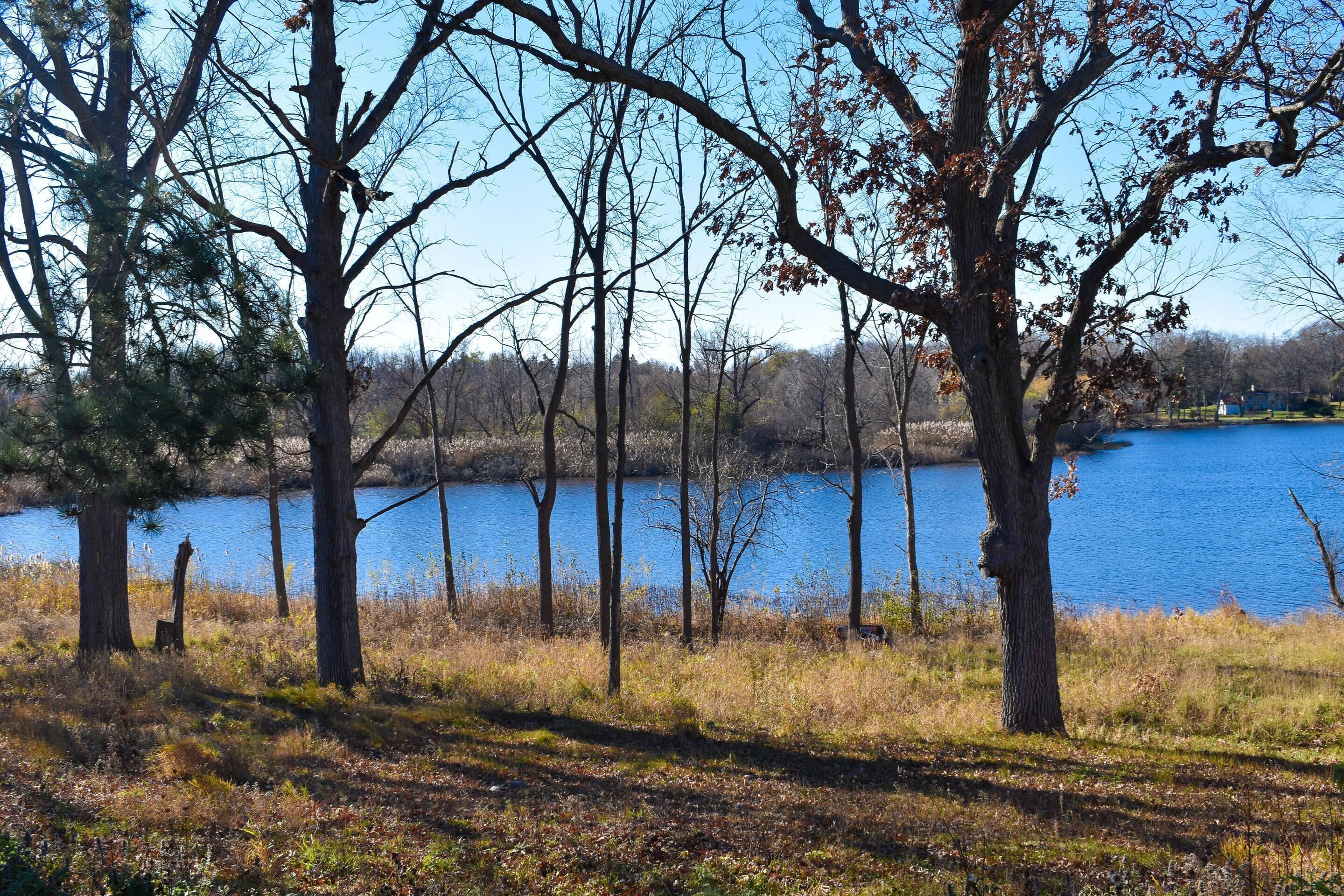 Un paysage naturel avec des arbres et un lac.