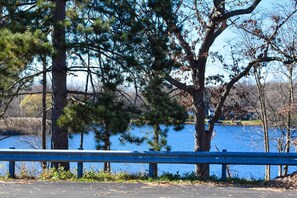A lakeside view with a blue railing, trees, and a clear sky.