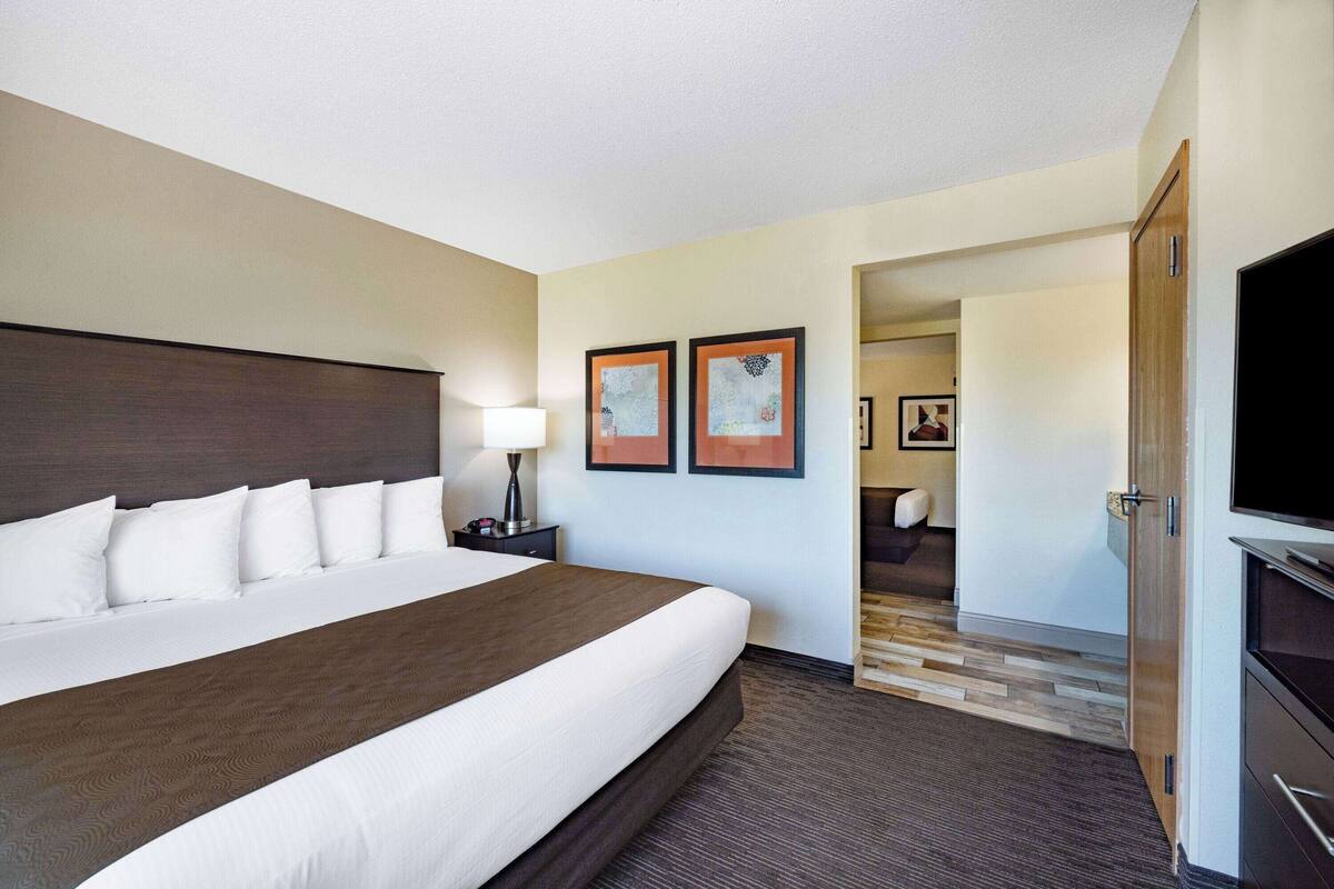 A hotel room with a large bed, a bedside table with a lamp, two framed pictures on the wall, and a television on a stand.