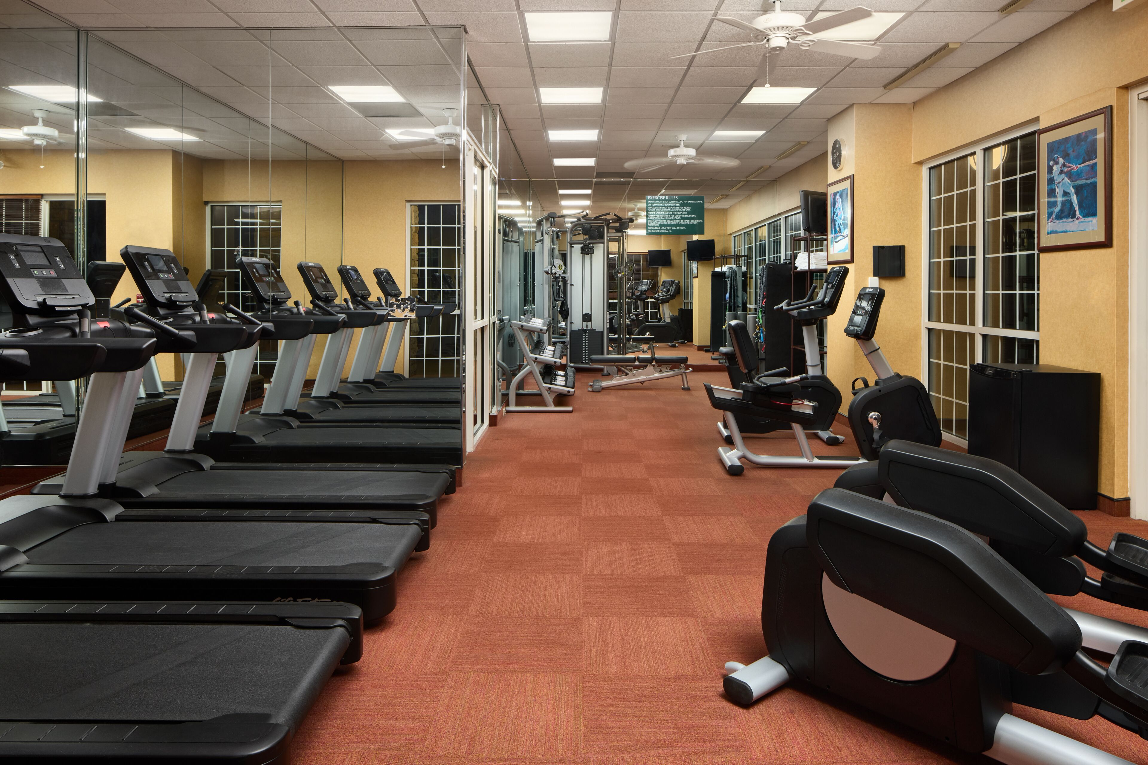 Une salle de sport équipée de plusieurs tapis de course, de machines de musculation et d’un mur recouvert de miroirs.