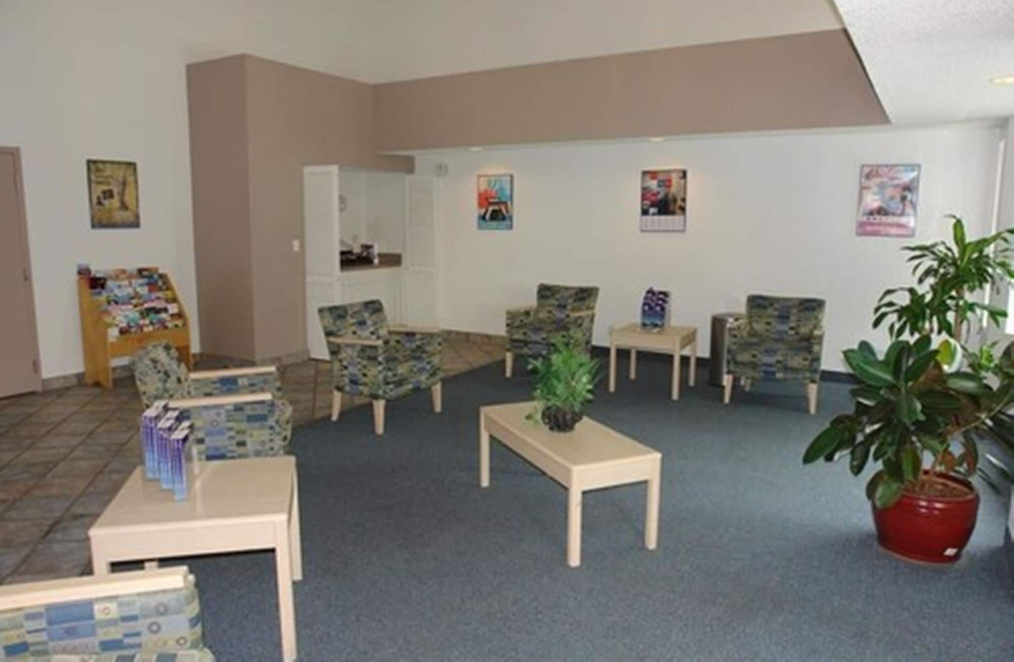 A waiting area with several chairs, a small table, and a potted plant.
