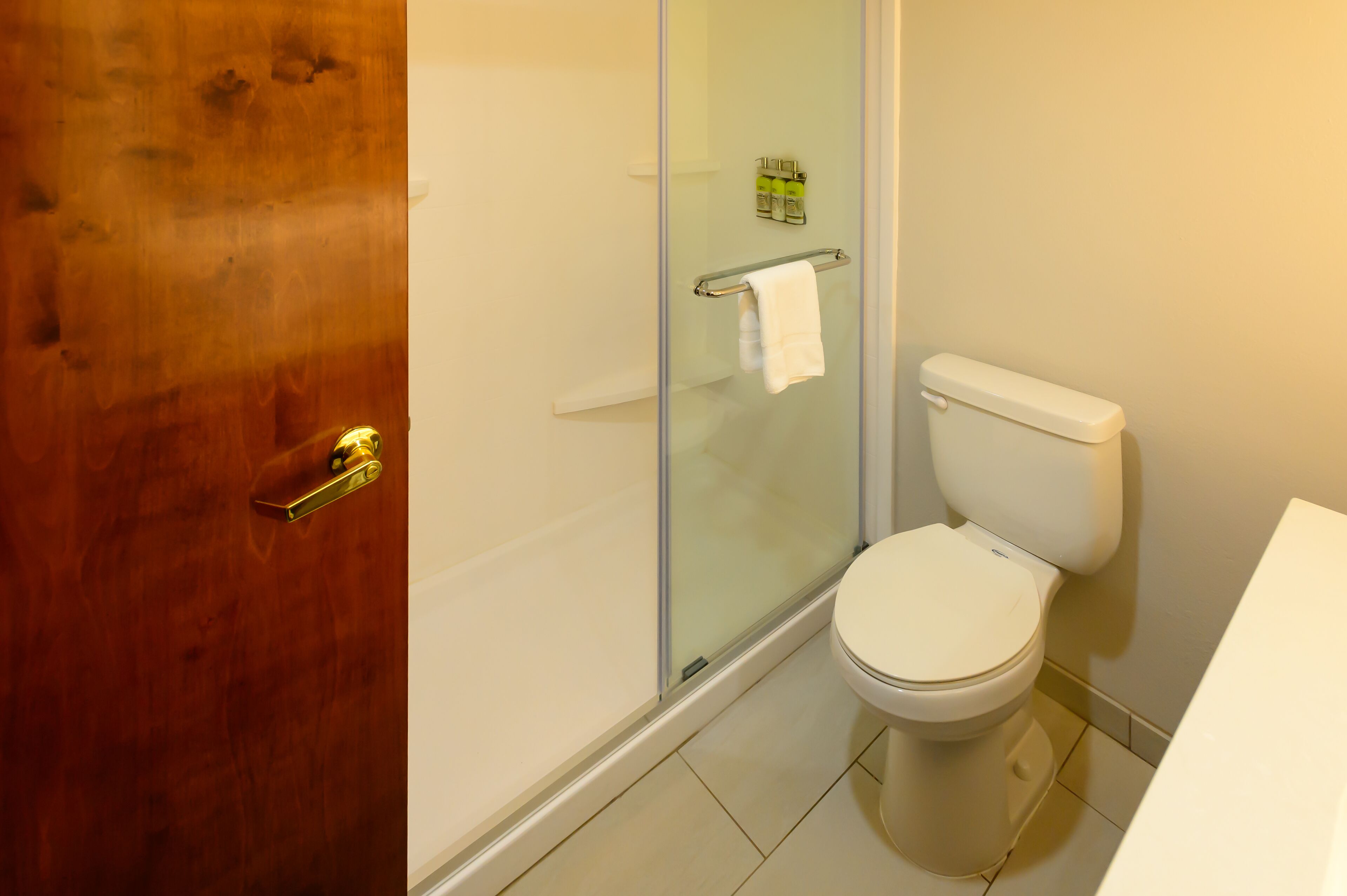 executive suite, 1 king bed with sofa bed | bathroom shower